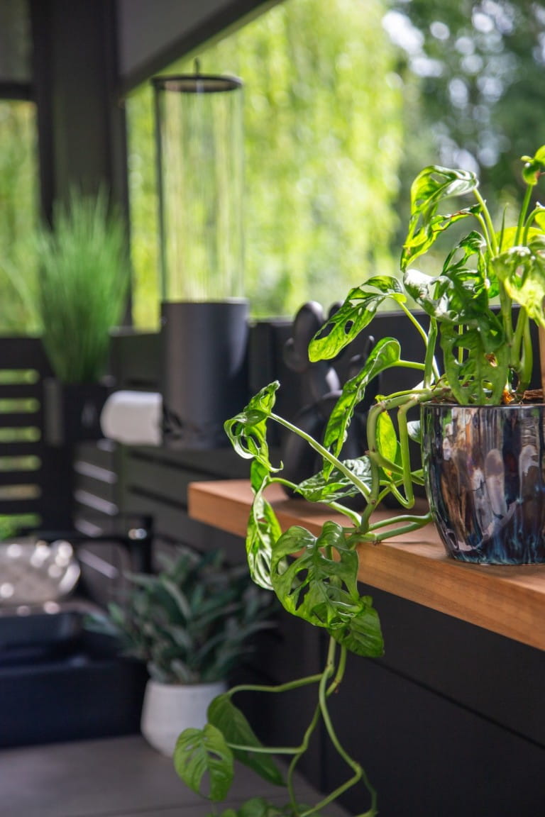 Garden Rooms East Anglia